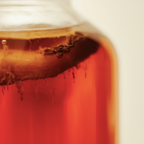 Kombucha
